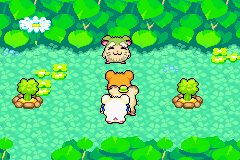 screenshots/Game Boy Advance/Hamtaro - Rainbow Rescue/Hamtaro - Rainbow Rescue (Eng) 050.png
